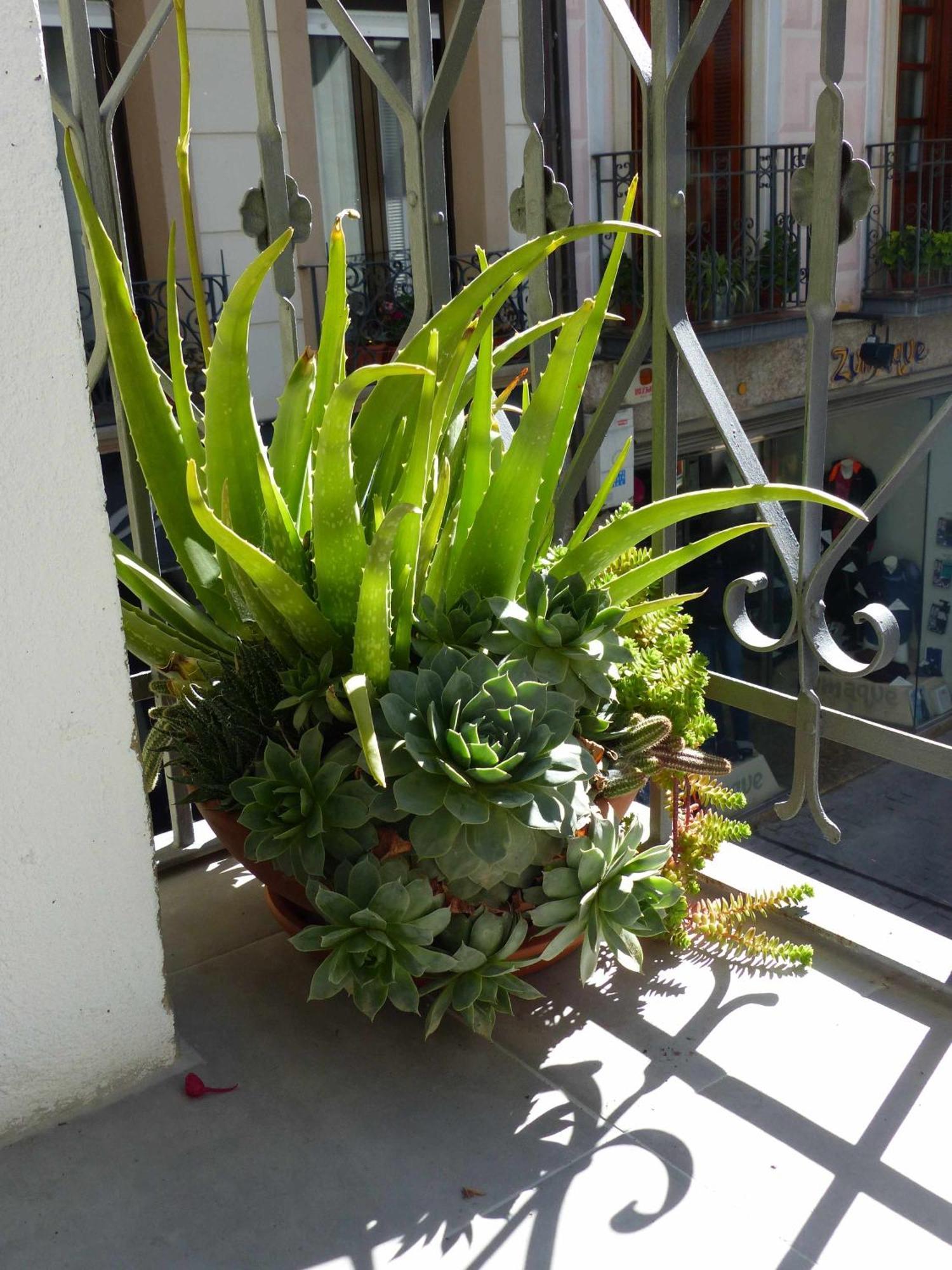 Ábside de San Juan I Apartment Estella Bagian luar foto